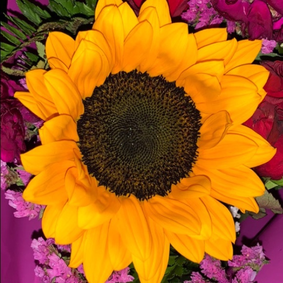 Meet your Posher, Lesley - Picture 1 of 1